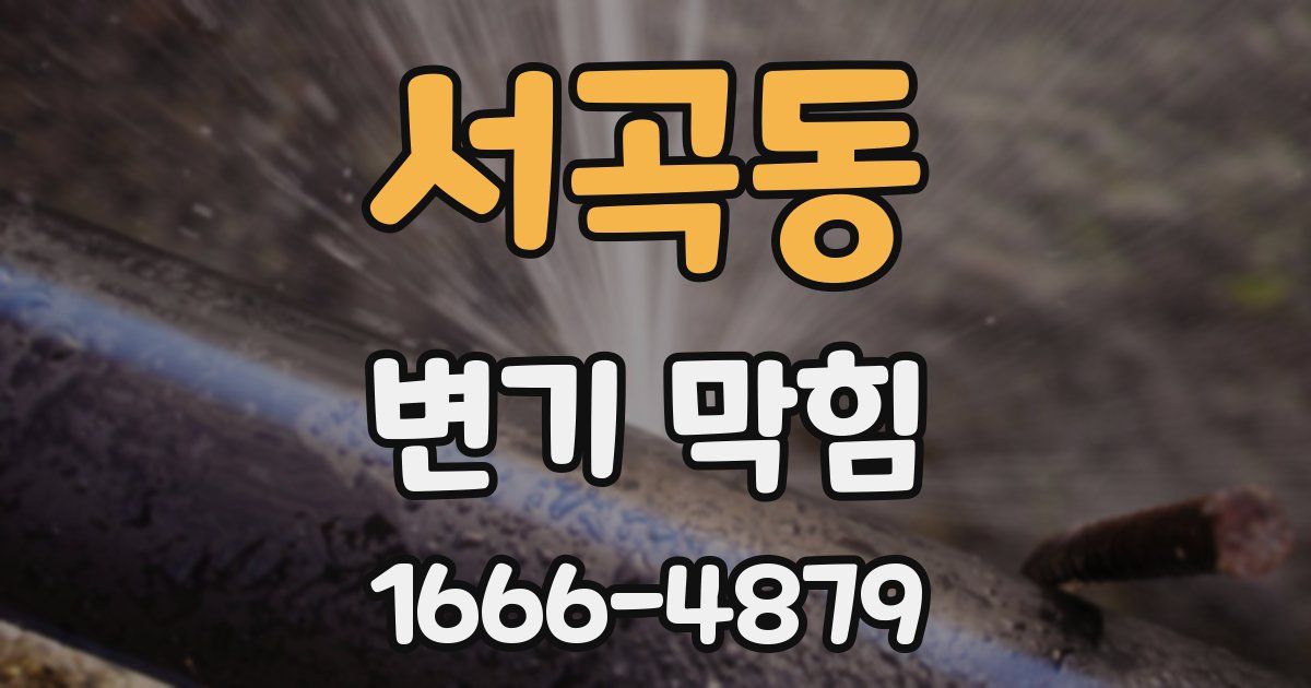 서곡동 변기 막힘