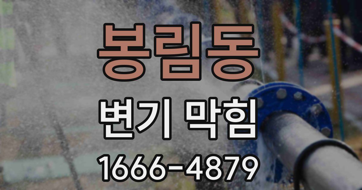 봉림동 변기 막힘