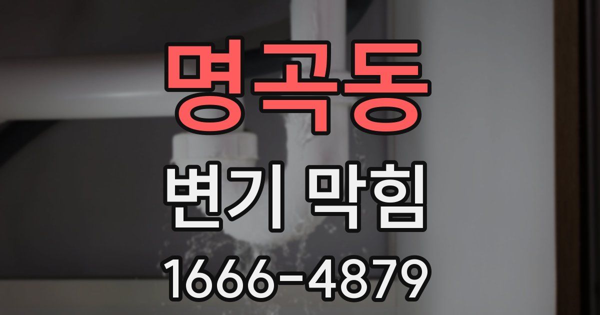 명곡동 변기 막힘