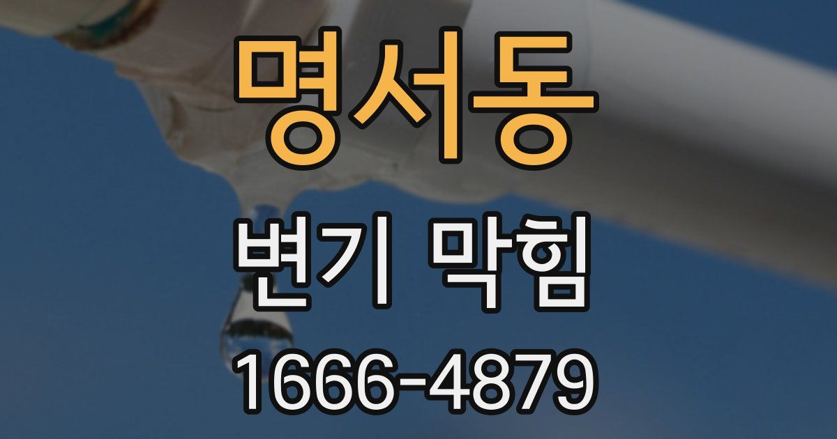 명서동 변기 막힘
