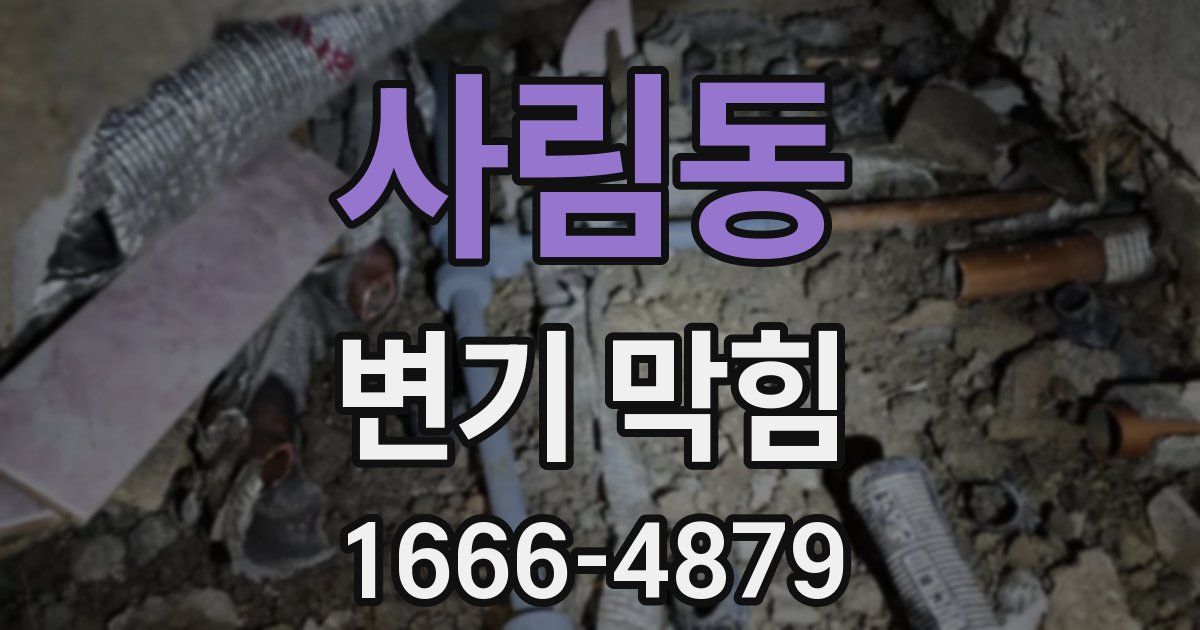 사림동 변기 막힘