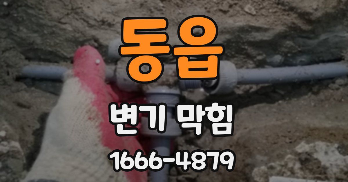 동읍 변기 막힘