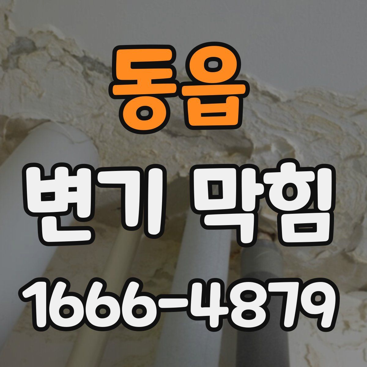 동읍 변기 막힘