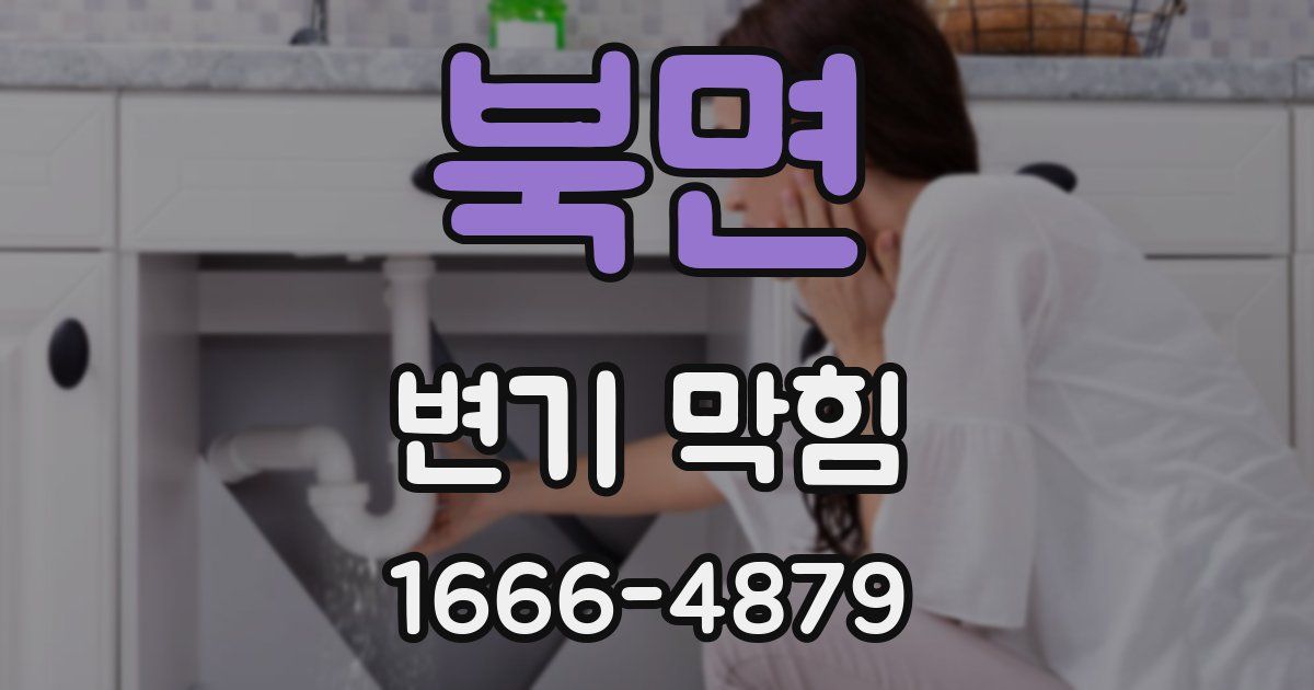 북면 변기 막힘