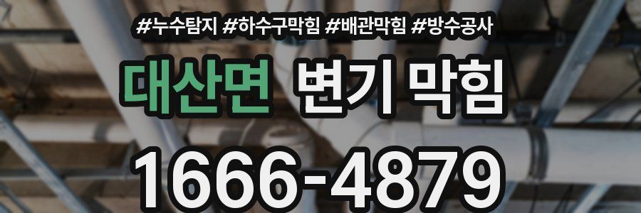 대산면 변기 막힘