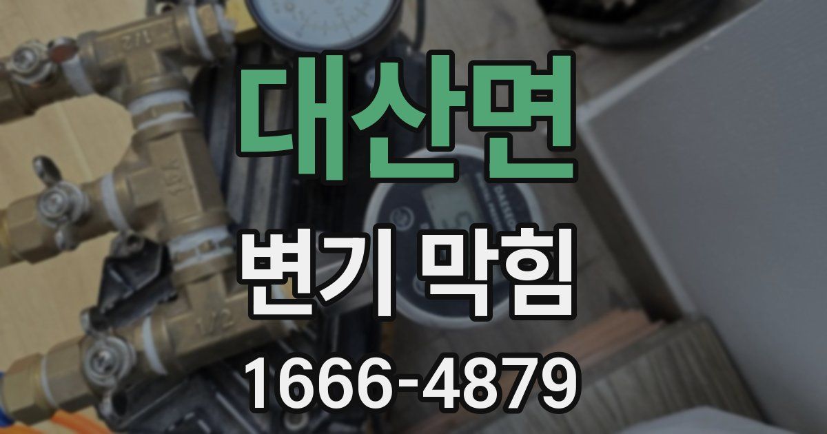 대산면 변기 막힘