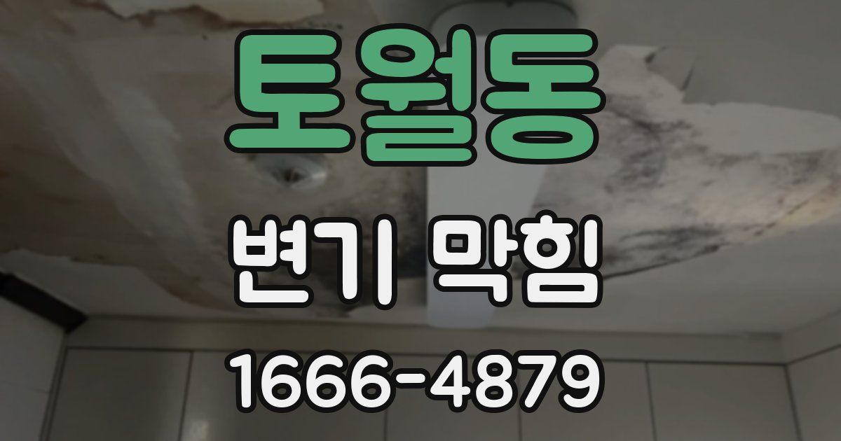 토월동 변기 막힘
