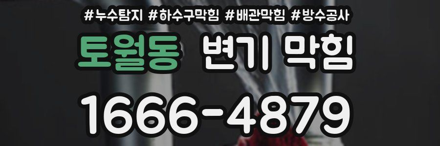 토월동 변기 막힘