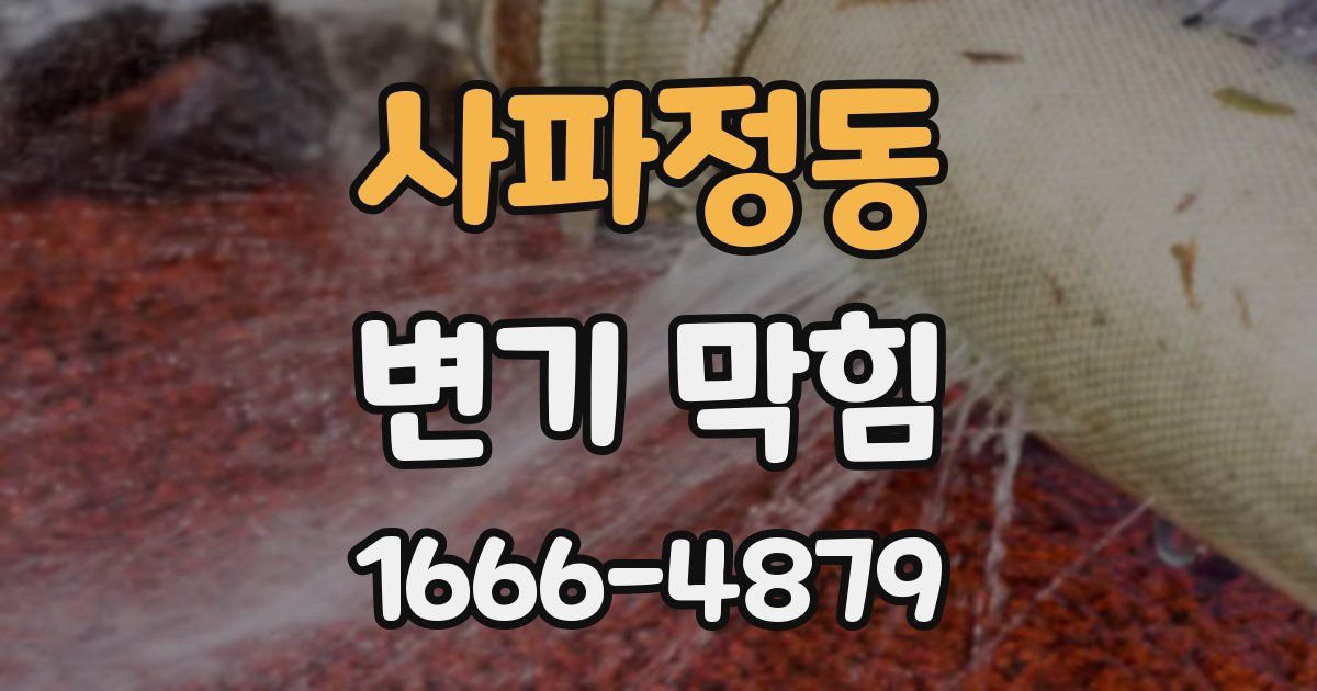 사파정동 변기 막힘
