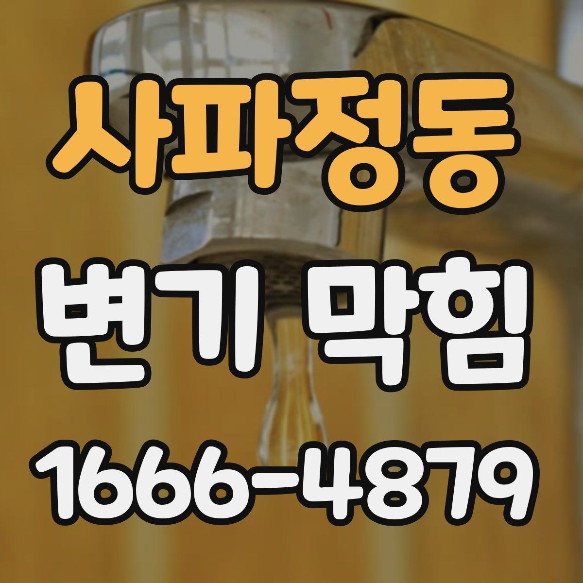 사파정동 변기 막힘