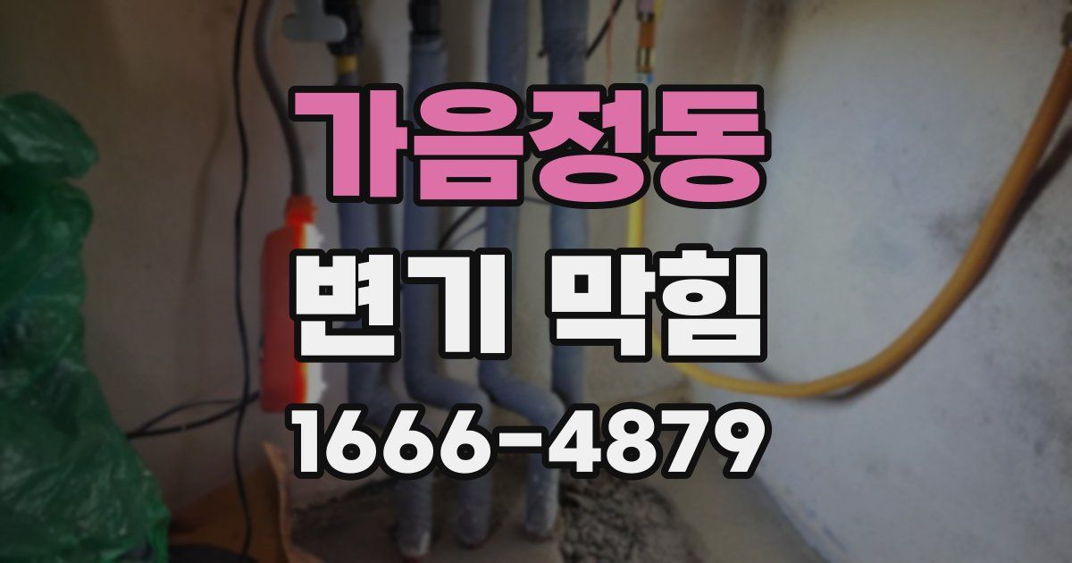 가음정동 변기 막힘