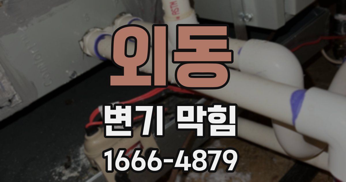 외동 변기 막힘