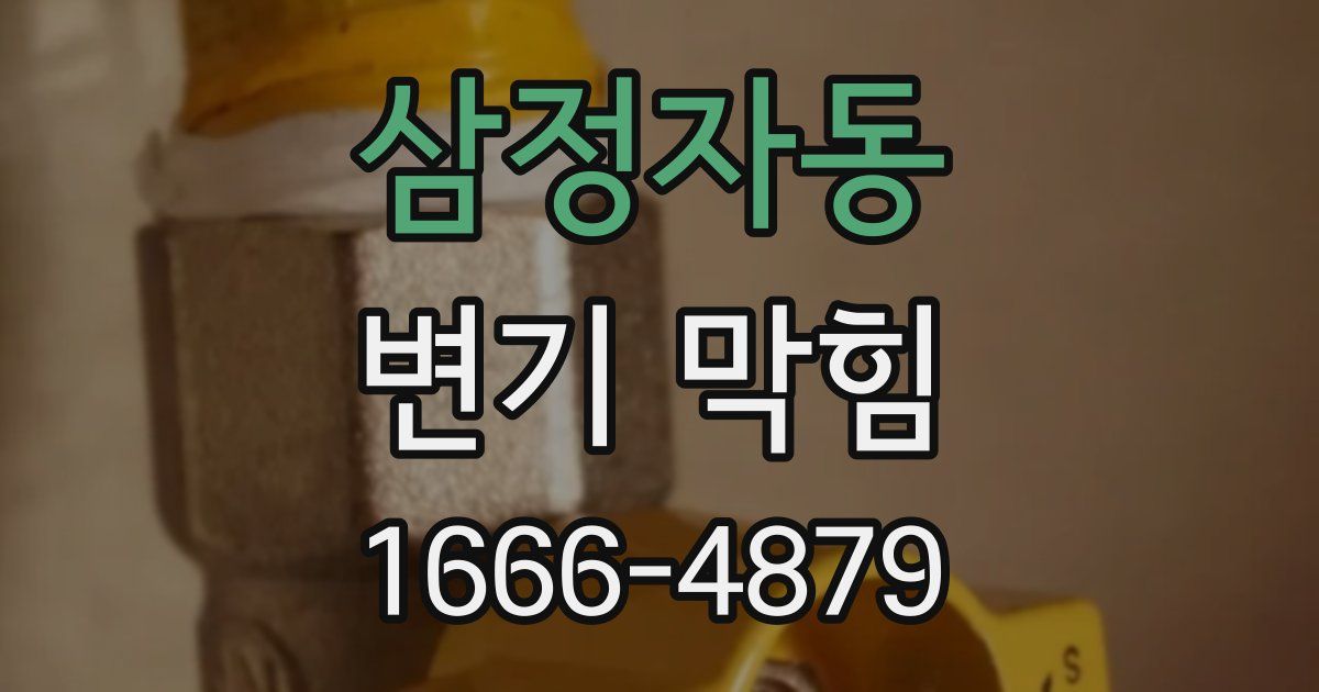 삼정자동 변기 막힘