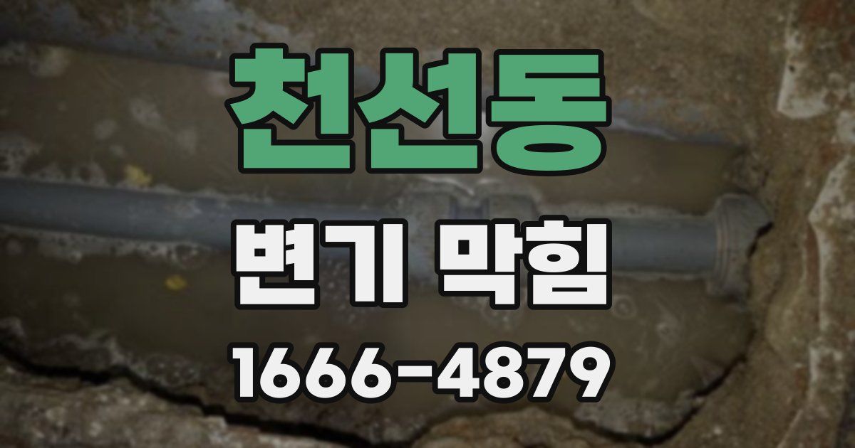 천선동 변기 막힘