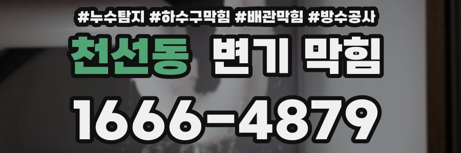 천선동 변기 막힘
