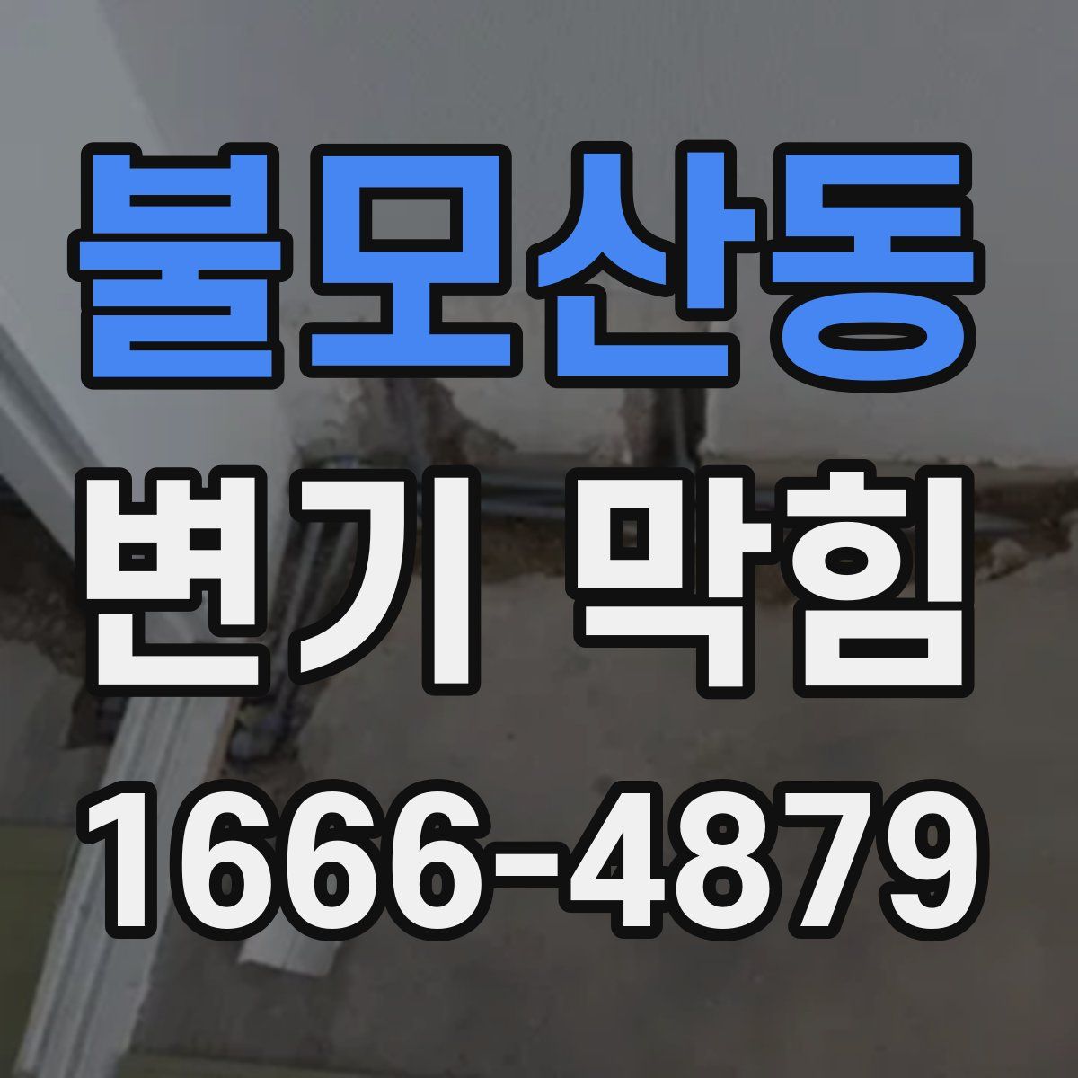 불모산동 변기 막힘