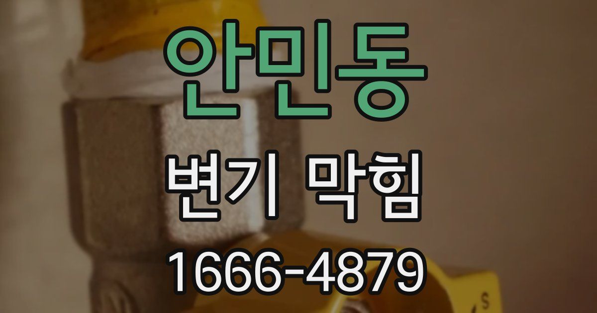 안민동 변기 막힘