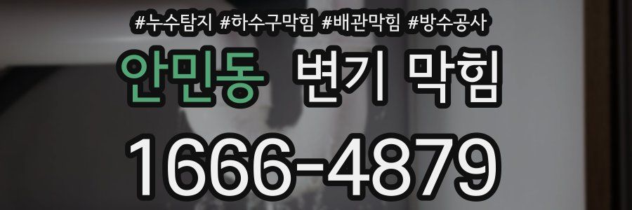 안민동 변기 막힘
