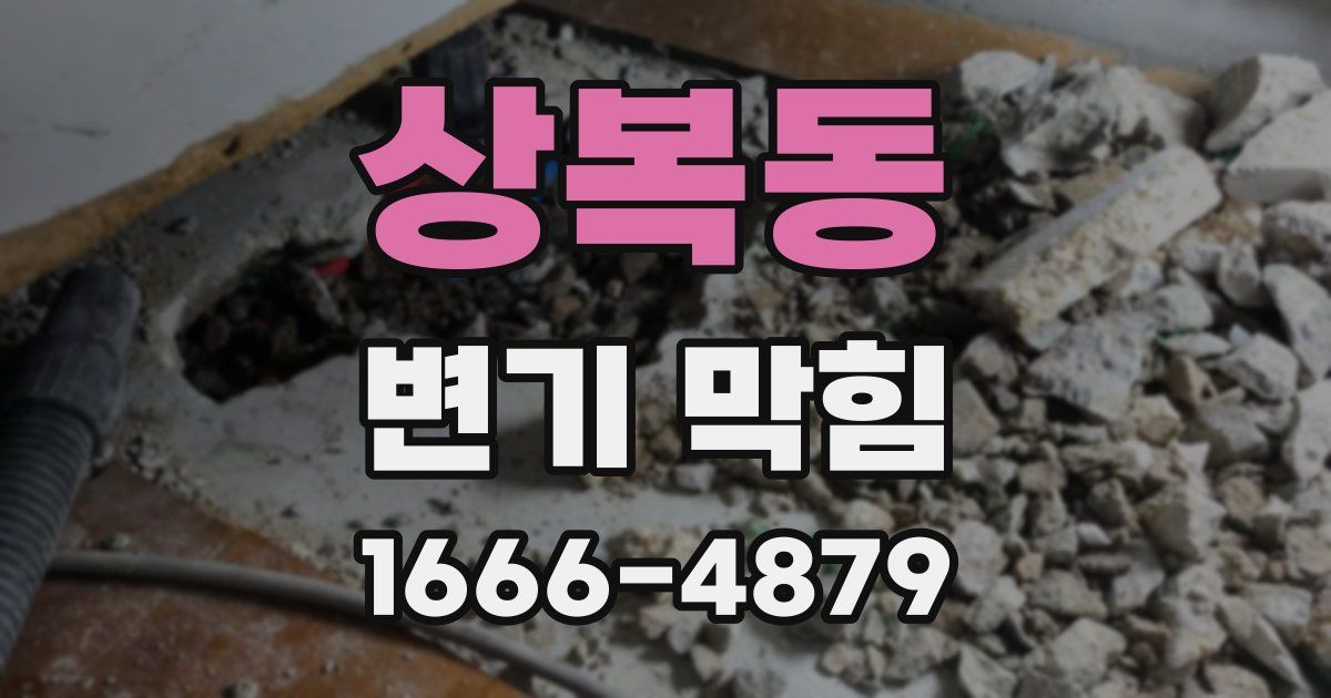 상복동 변기 막힘