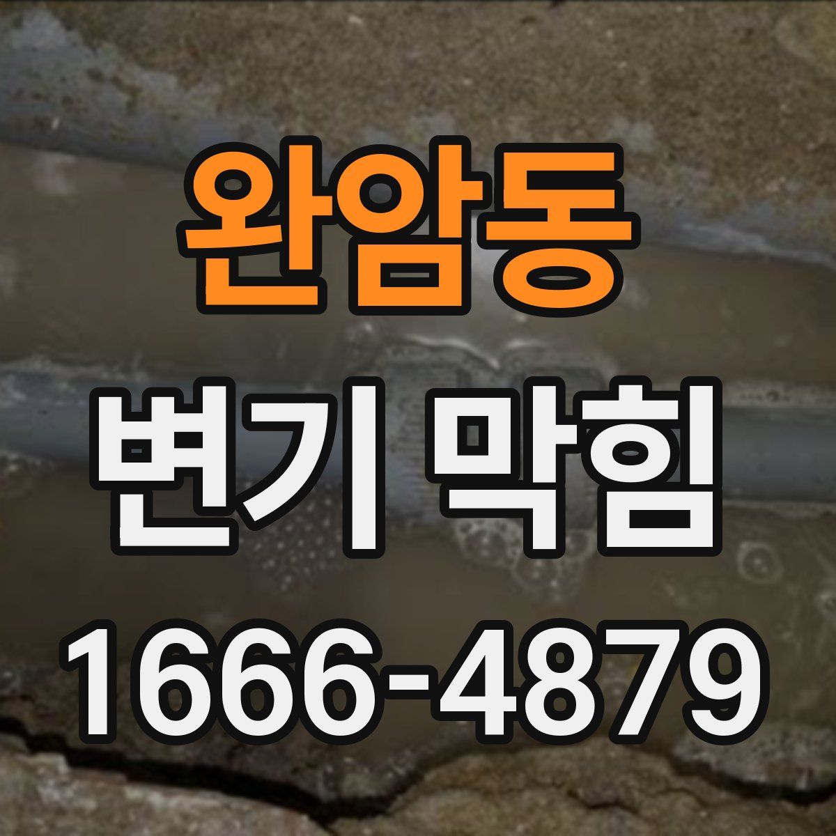 완암동 변기 막힘