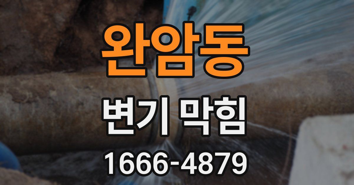 완암동 변기 막힘