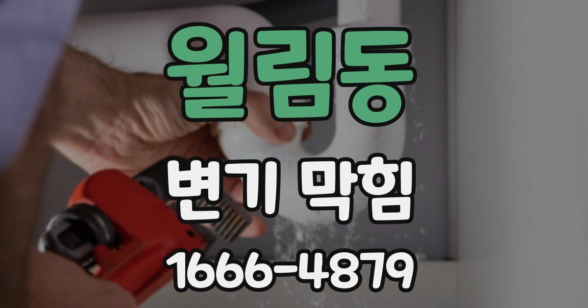 월림동 변기 막힘
