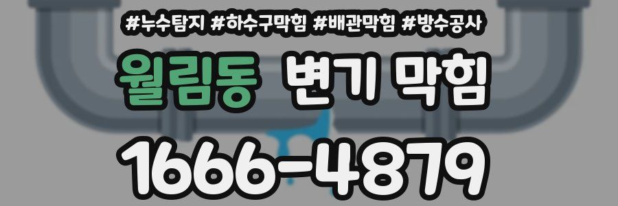 월림동 변기 막힘
