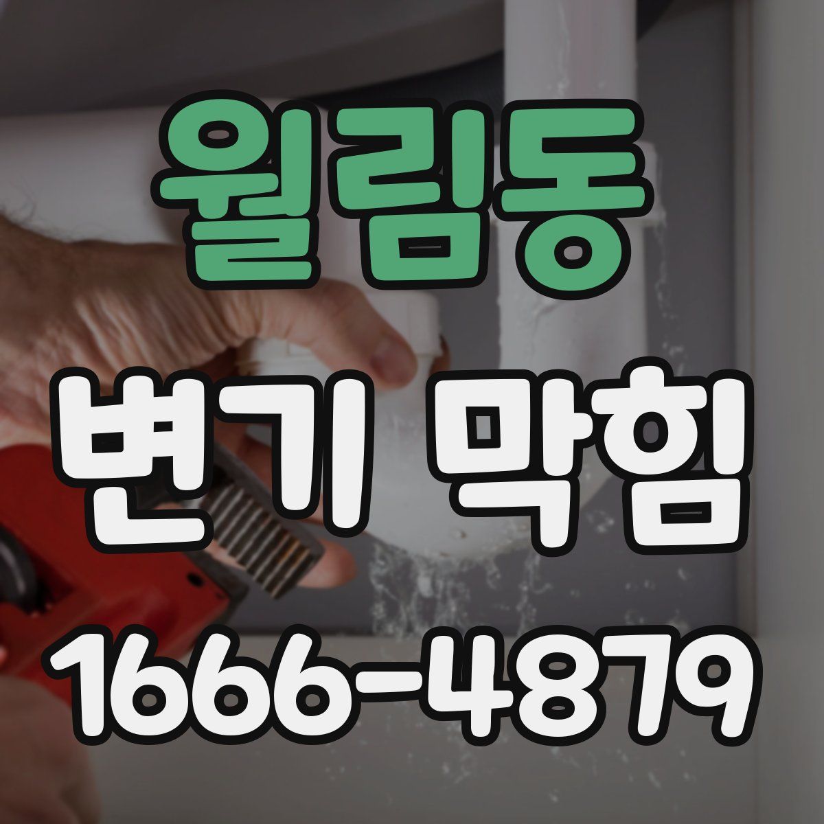 월림동 변기 막힘