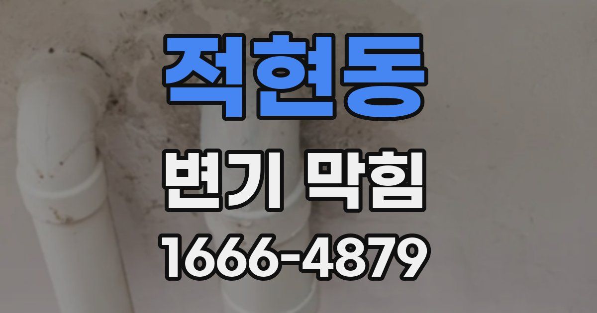 적현동 변기 막힘