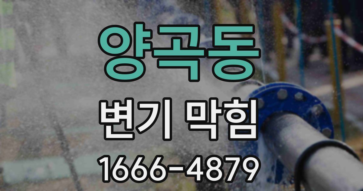 양곡동 변기 막힘