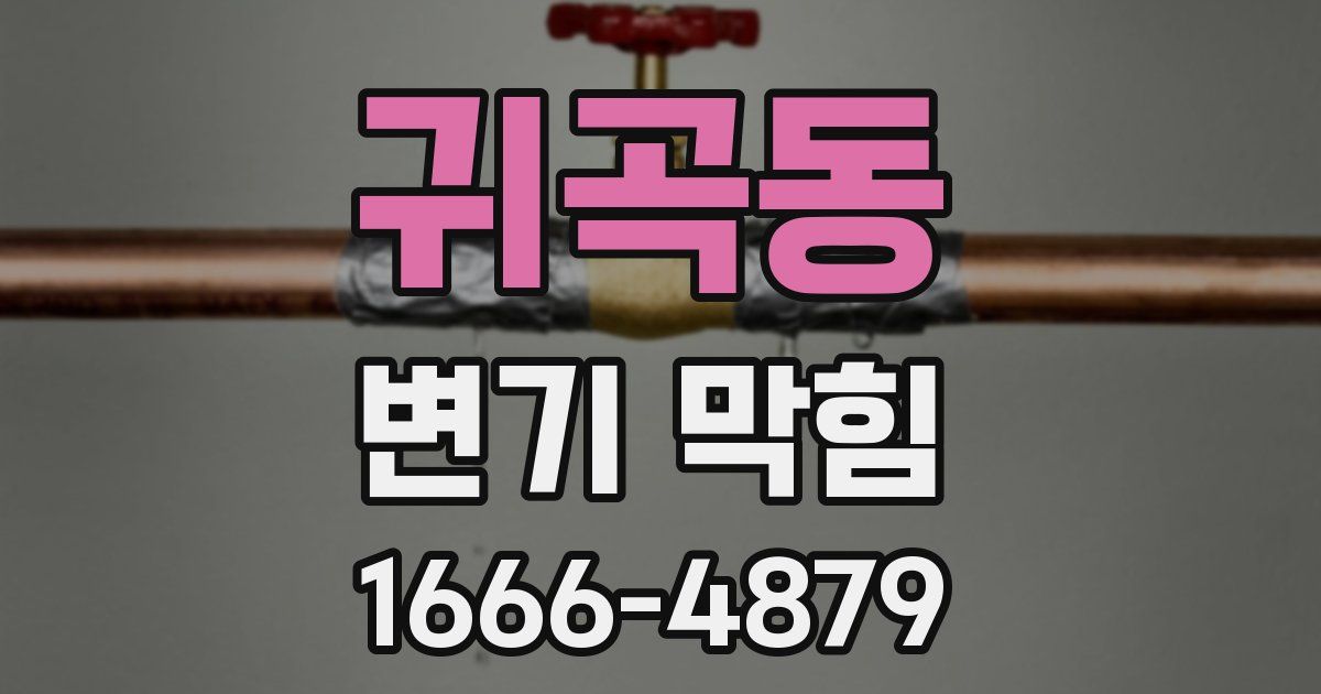 귀곡동 변기 막힘