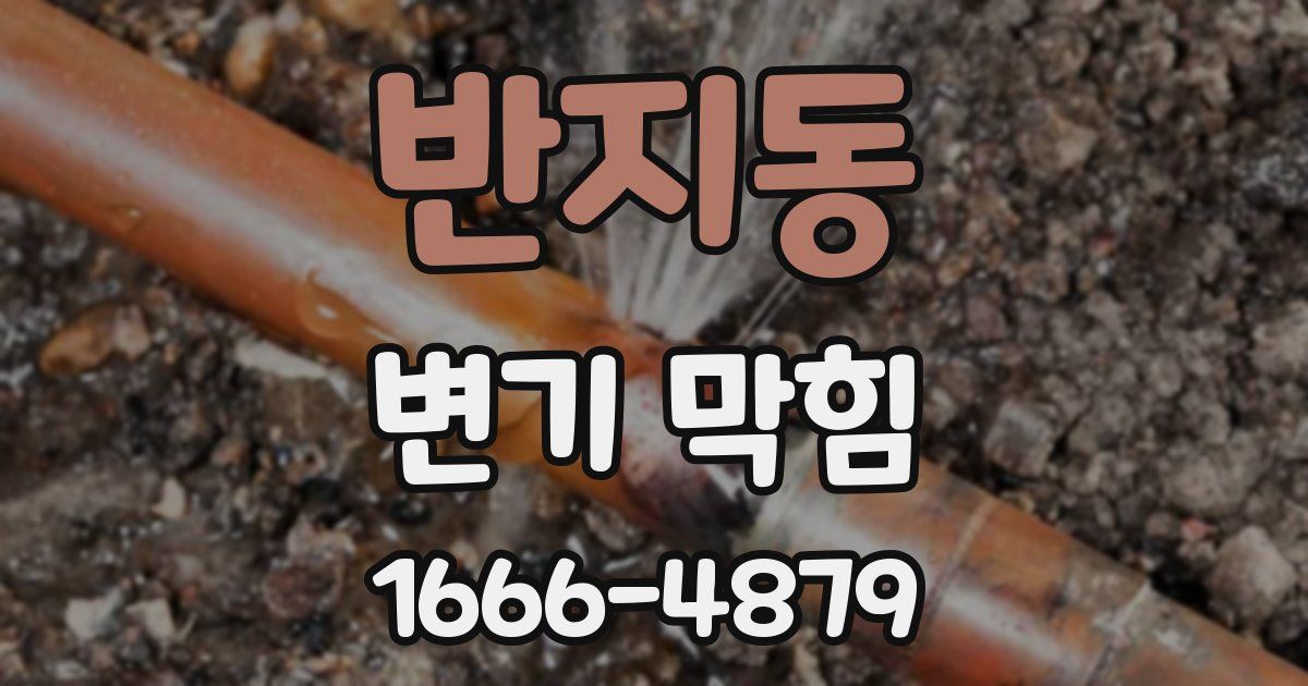 반지동 변기 막힘
