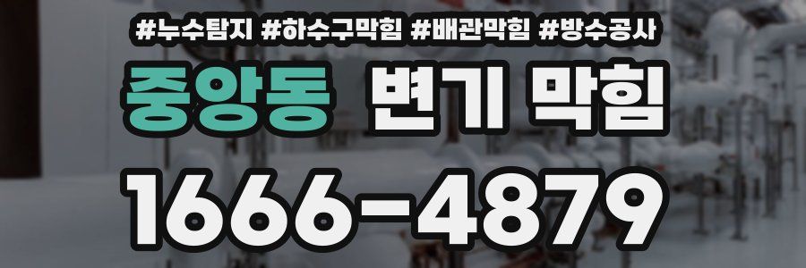 중앙동 변기 막힘