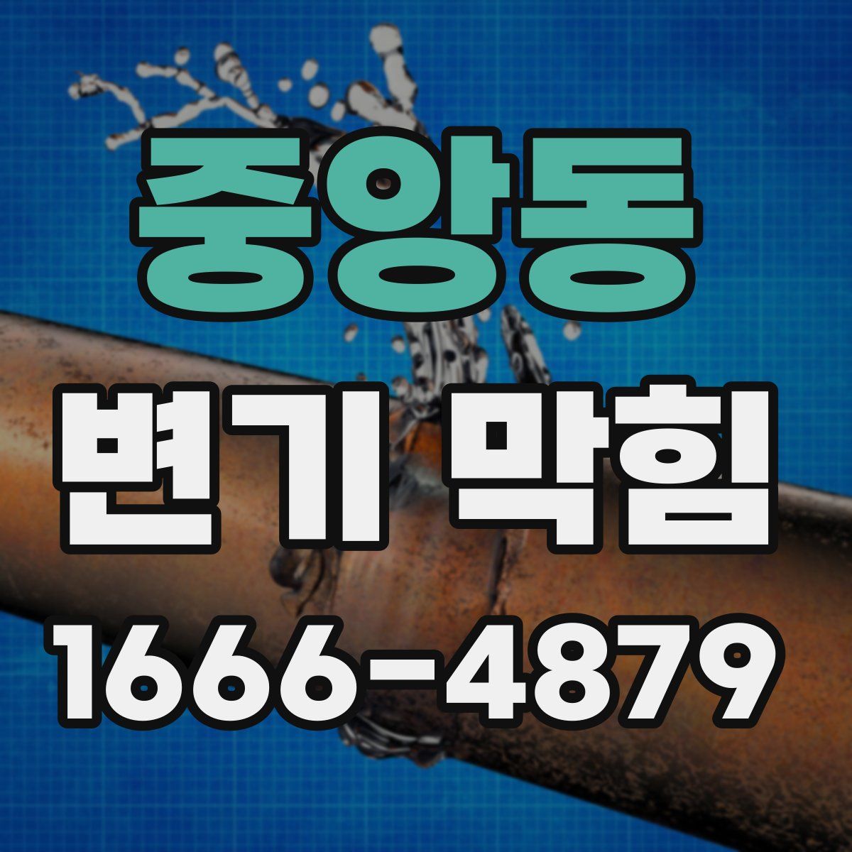중앙동 변기 막힘