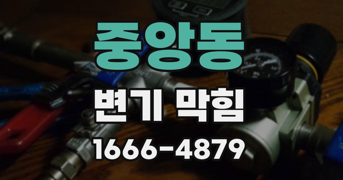 중앙동 변기 막힘