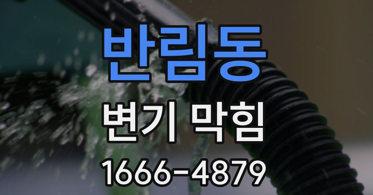 반림동 변기 막힘