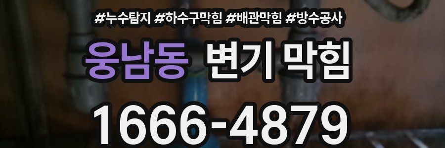 웅남동 변기 막힘
