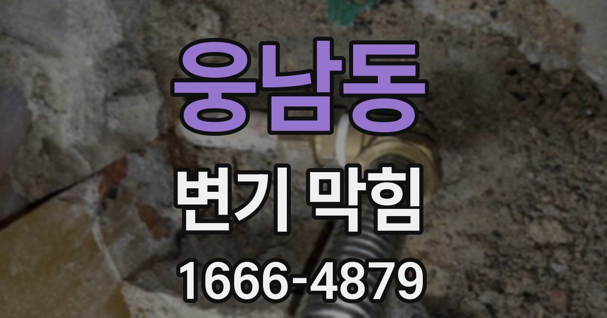 웅남동 변기 막힘