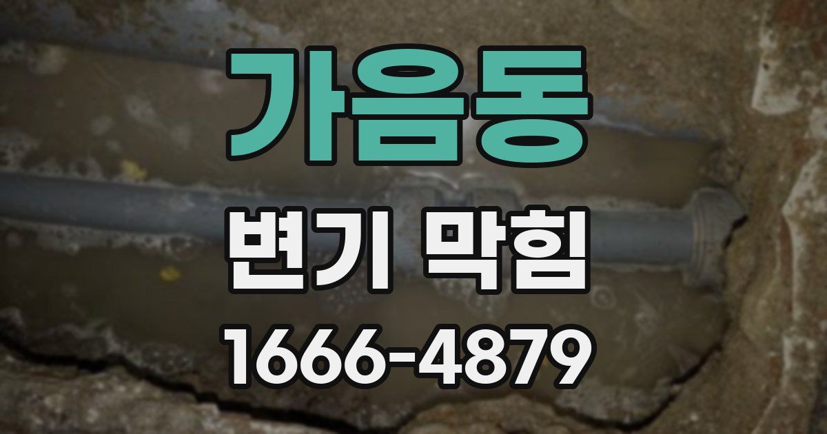가음동 변기 막힘