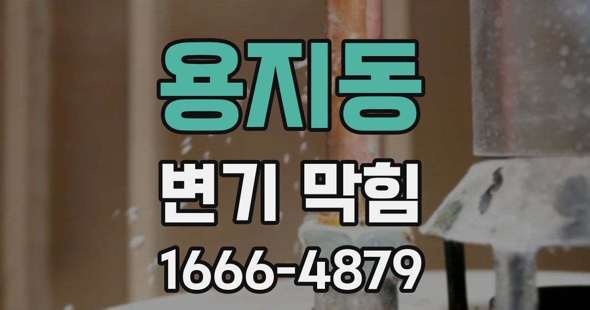용지동 변기 막힘