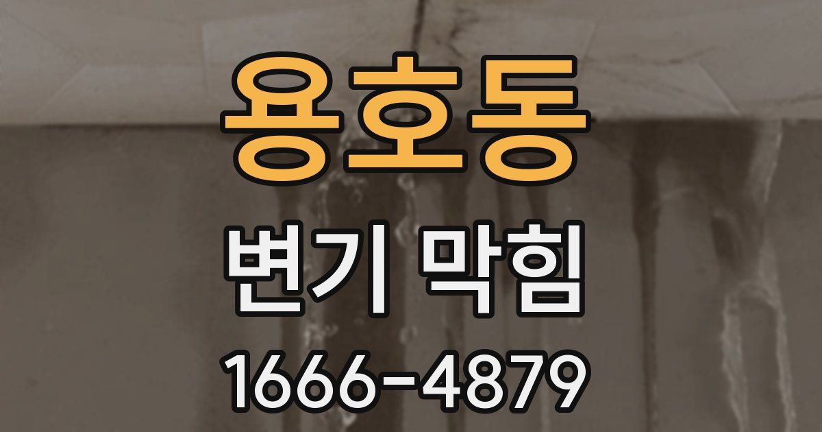 용호동 변기 막힘