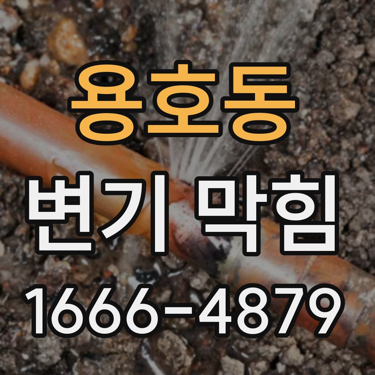 용호동 변기 막힘
