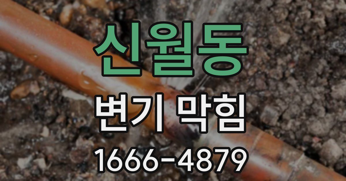 신월동 변기 막힘