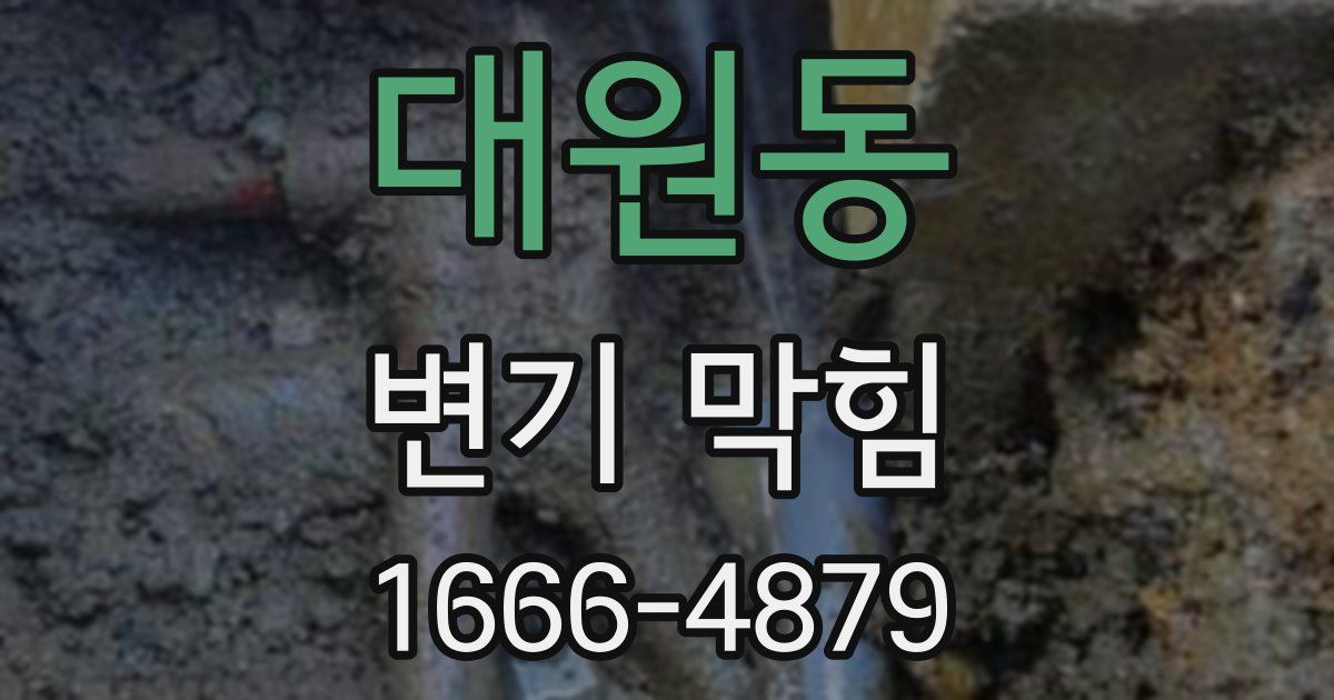 대원동 변기 막힘