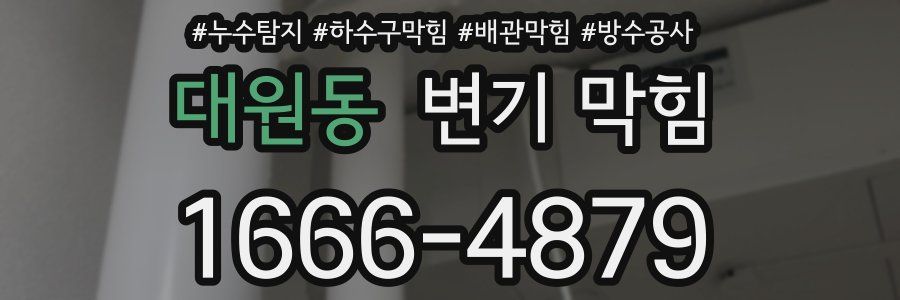 대원동 변기 막힘