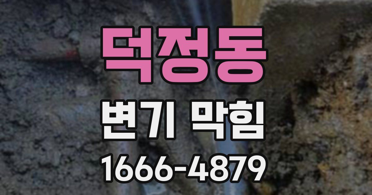 덕정동 변기 막힘