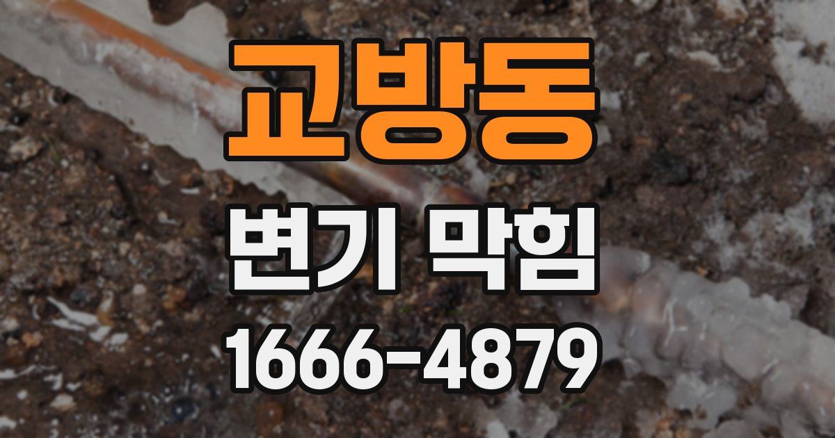 교방동 변기 막힘