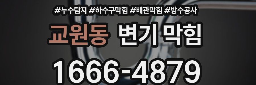 교원동 변기 막힘