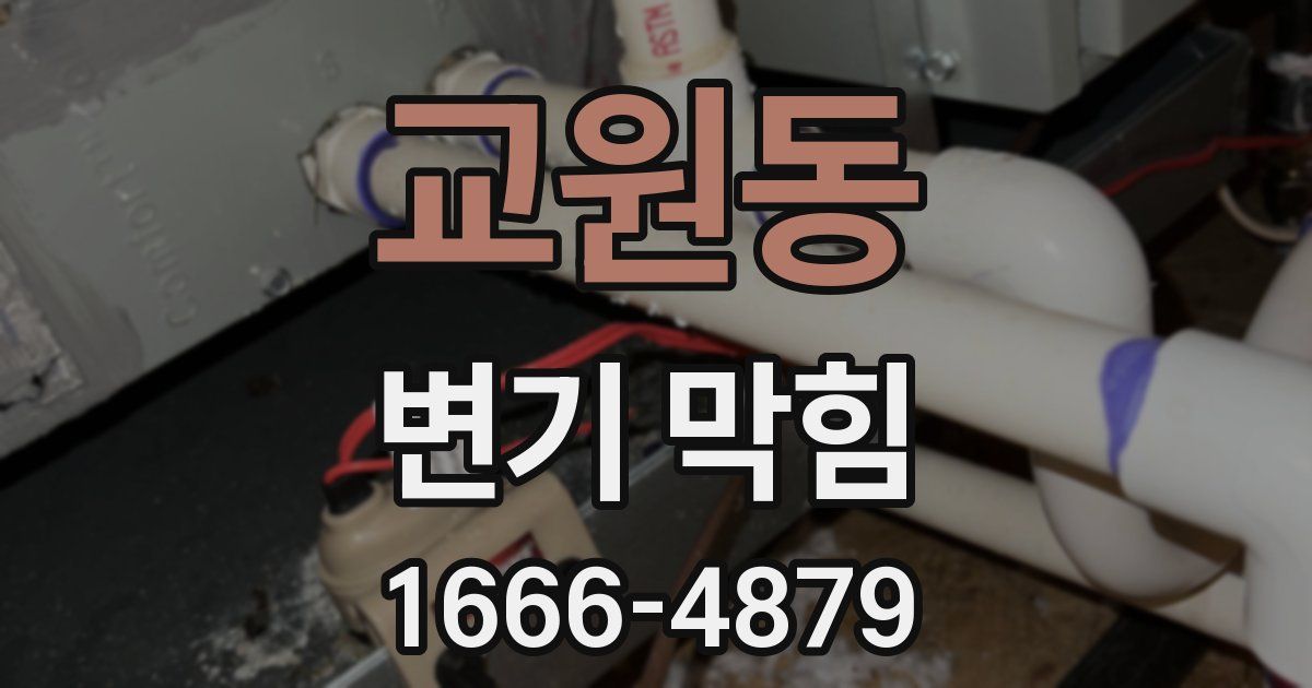 교원동 변기 막힘