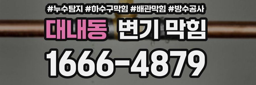 대내동 변기 막힘
